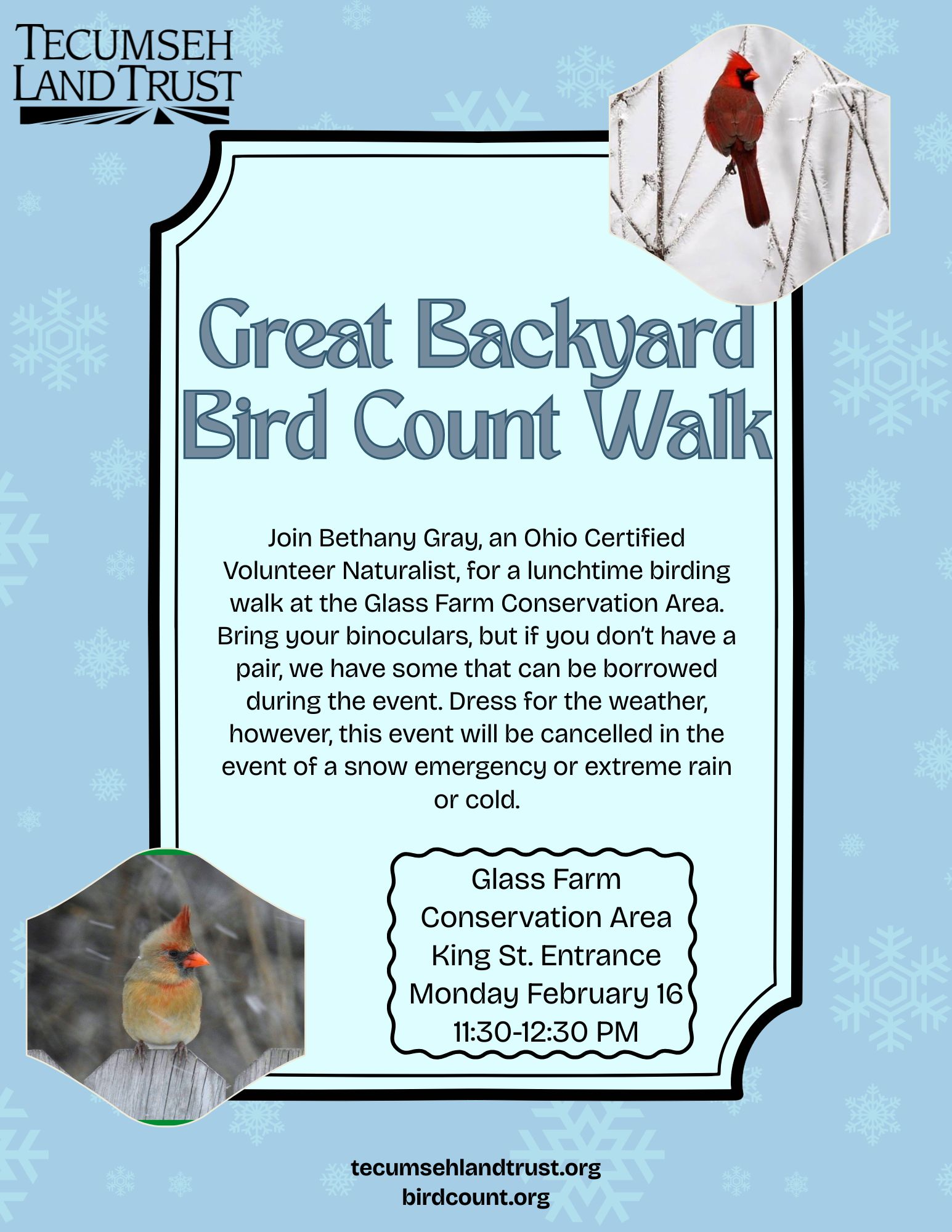 Great Backyard Bird Count